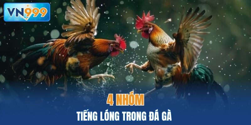 4 nhóm tiếng lóng trong đá gà thường gặp nhất