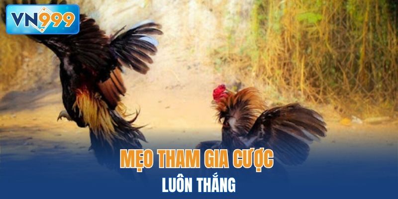 Mẹo tham gia cược luôn thắng