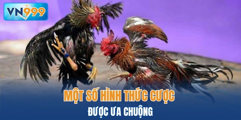 Một số hình thức cược được ưa chuộng