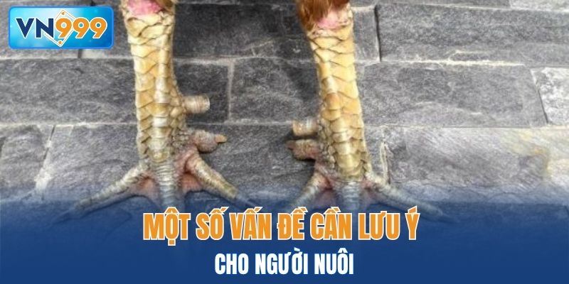 Một số vấn đề cần lưu ý cho người nuôi