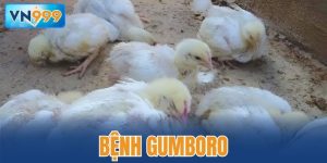 Bệnh Gumboro