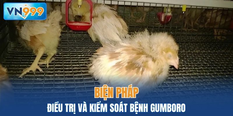 Biện pháp hỗ trợ điều trị và kiểm soát bệnh 