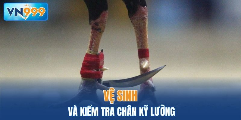 Vệ sinh đồng thời kiểm tra chân