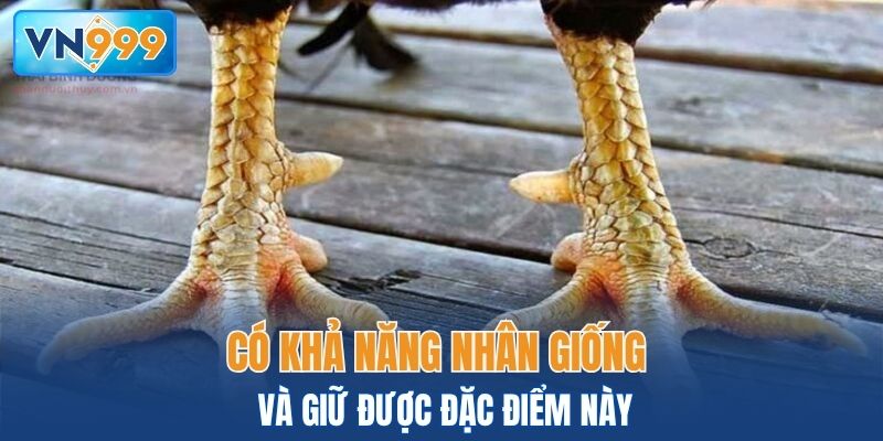 Có khả năng nhân giống và giữ được đặc điểm này