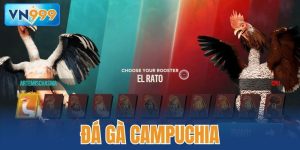đá gà Campuchia
