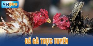 đá gà trực tuyến