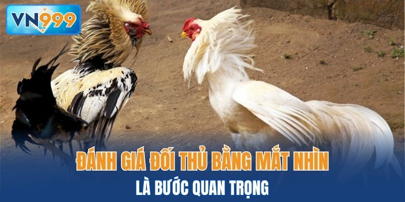Đánh giá đối thủ bằng mắt nhìn là bước quan trọng