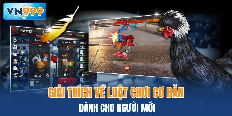 Giải thích về luật chơi cơ bản dành cho người mới