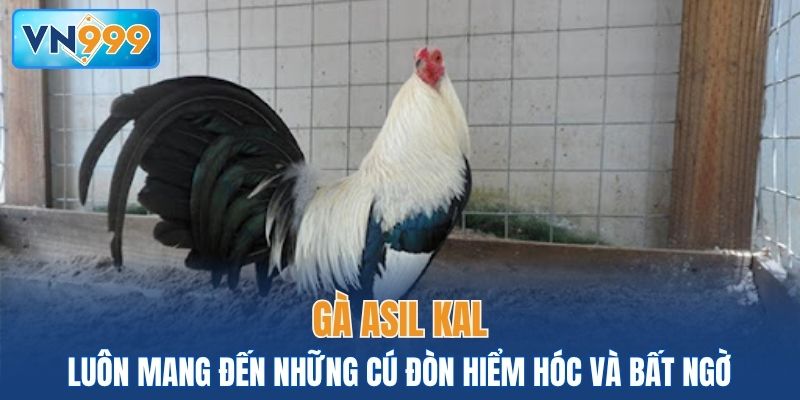 Kal luôn mang đến những cú đòn hiểm hóc và bất ngờ