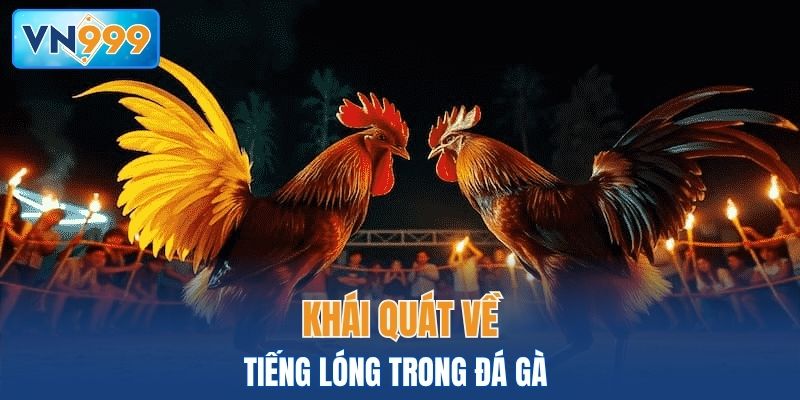 Khái quát về tiếng lóng trong đá gà