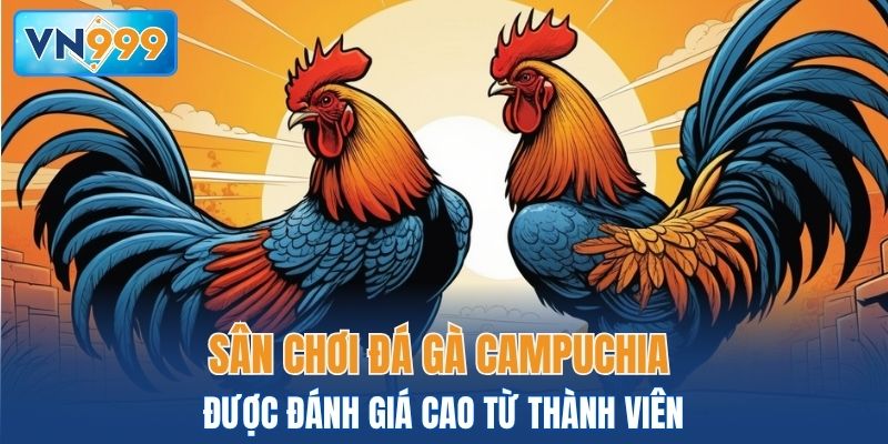 Sân chơi đá gà Campuchia được đánh giá cao từ thành viên