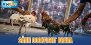 sảnh Cockfight Arena