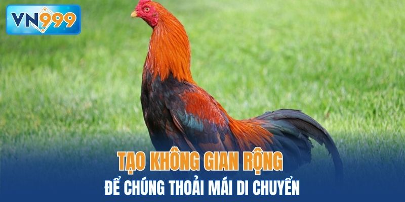 Tạo không gian rộng để chúng thoải mái di chuyển