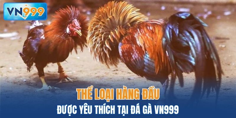 Thể loại hàng đầu được yêu thích tại đá gà VN999