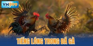 Tiếng lóng trong đá gà